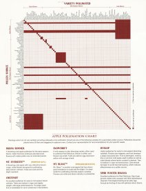Pollination Chart
