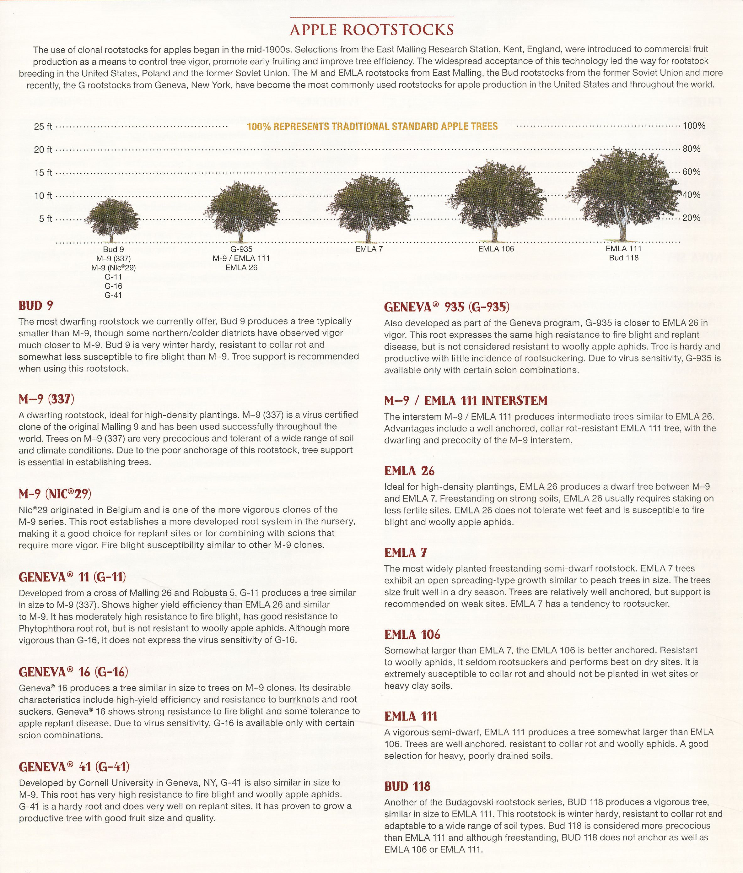 Rootstock Information